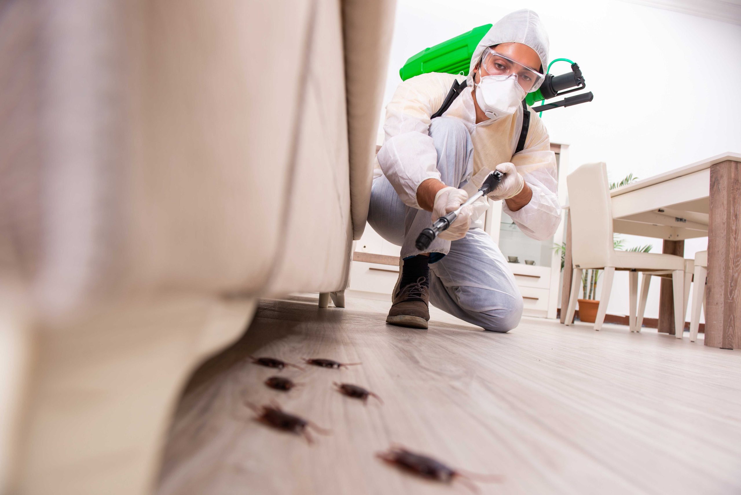 Pest-Control experts in Tulsa specializing in prevention and eradication of various pests. Don't let pests damage your property and endanger your health.